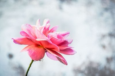이메일 마케팅, 클릭을 부르는 5가지 핵심 전략 가이드
